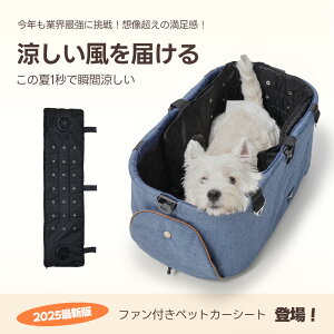 urTtv ybgJ[g ⊴V[g PETTENA ⊴NbV t@NbV NbV p @ V[g N[NbV ybgJ[gt@ t@ p NbV Ђ