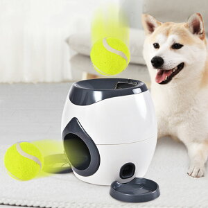 uKi&P20{vPETTENA m狋a  IQP P ybgm炨 a@ a a GT  ybg a ŗV m ߋ  Ԓׂ  a@ 􂦂  Ck 