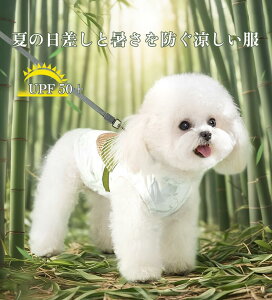 PETTENA   hbO Lbg EGA ybg  L ^ ^ ^  L  U   a a Be NNn  {iI ꒅ ЂȍՂ   | ʂ 