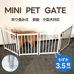 ySSԐVi500~OFFN[|P10{zybgQ[g ybgtFX ܂ݎQ[g u pQ[g^Q[g  Q[g S ^ Eh~ tFX p ybg