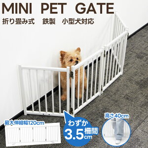 ySSԐVi500~OFFN[|P10{zybgQ[g ybgtFX ܂ݎQ[g u pQ[g^Q[g  Q[g S ^ Eh~ tFX p ybg