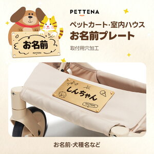 ybgJ[g nEX  v[g Ov[g ؐ Dȕ  ~bNX VGbg ̎qObY H IWi O AJio[v[g Y 