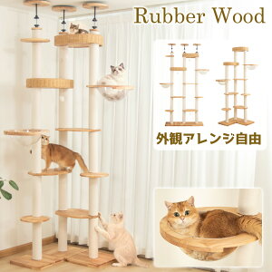 Lbg^[ ˂ FD ؐ   nbN L^[ VR  RbgR XNb` 芴 ܂Ƃ Lxbh ₷ Wv NA{E S ybg