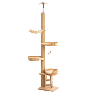 y3000~OFFN[|14580~z ˂莮 Lbg^[ ؐ u ~pNbV  ZL ؖ L ȃXy[X L^[ ^ VjA  ₷ Lbgc[