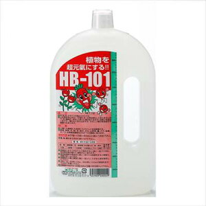 �y���������z�y�t���[���zHB-101(1L)/1�� �yM�z