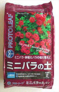 yvg[tz~jo̓y(2L)/1 yMz