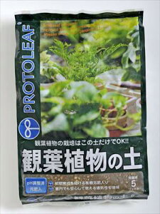 yvg[tzϗtA̓y(5L)/1 yMz