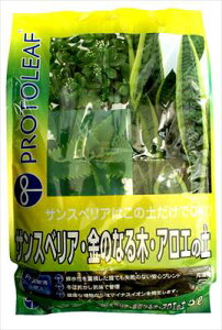 yvg[tzTXxAÊȂ؁EAG̓y(5L)/1 yMz