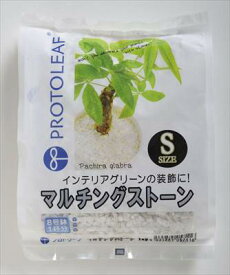 楽天市場 化粧石 観葉植物 メーカープロトリーフ その他 ガーデニング 農業 花 ガーデン Diyの通販 楽天市場 化粧石 観葉植物 メーカープロトリーフ その他 ガーデニング 農業 花 ガーデン Diyの通販
