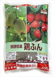 yJOYAOXzyL{ӂ(600g)/1 yMz