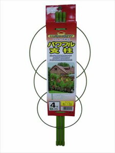 ynӑׁzptx(4)/145cm yMz