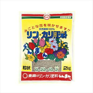 yzJ엿܂E(2kg)/1 yMz