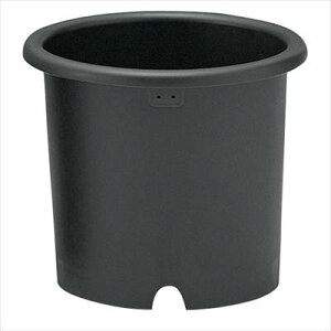 yb`Fze(10) FFBK/1 yMz