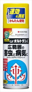�y�Z�F���w���|�zGF�I���g����C(420ml)/1�� �yM�z