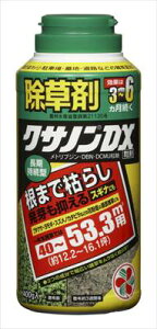 �y�Z�F���w���|�z�N�T�m��DX����(400g)/1�� �yM�z