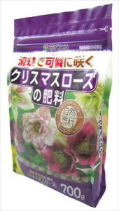 yԂzNX}X[Y̔엿(700g)/1 yMz