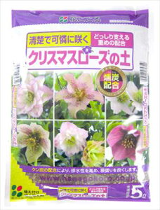 yԂzNX}X[Y̓y(5L)/1 yMz