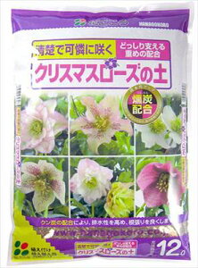 yԂzNX}X[Y̓y(12L)/1 yMz