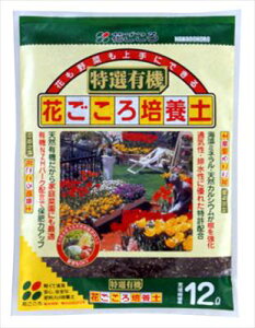 yԂzIL@Ԃ|{y(12L)/1 yMz