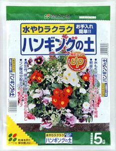 yԂznMO̓y(5L)/1 yMz