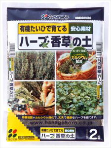 yԂzn[uE̓y(2L)/1 yMz