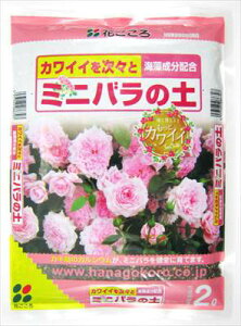 yԂz~jo̓y(2L)/1 yMz