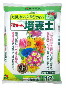 yԂzԂ|{y(12L)/1 yMz