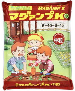 yzynC|lbNXWpz}O@vK@(3kg)/1 yMz