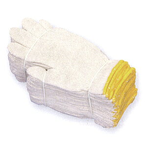 yʍƎ܁z aR@2{҂݁iȐFj@TC600@1_[X@syNBz