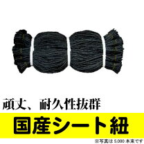 楽天市場】シート 紐 80cmの通販