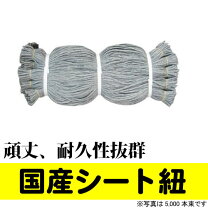 楽天市場】シート 紐 80cmの通販