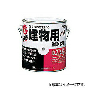 �y�T���f�[�y�C���g�z���������p�@1/5L�@�`���R���[�g�@1�P�[�X�i6����j�@��������s���i���yK�z