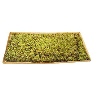 y3Zbgz|pi@yہzyRPzyXiSPzXiSPV[g@3Zbg@yYMz