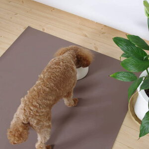 RtB}`V[g TCYM 115×80cm yuEz ybgp񒣂hV[g ^ ^ ^  V z }bg Y t[JbgyLIz