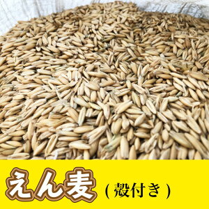 (kt) 1kg(500g×2)   fO[ nX^[ `` u[_[ ΂  [(|Xg)yDBPz