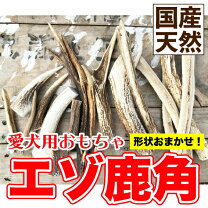 楽天市場】エゾ鹿の角 1kgの通販