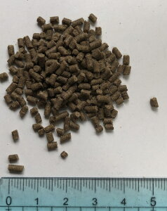 y300gz@p@Iipj@GT@a@ Ō`yNz