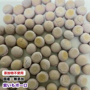 y100gz@ybgp@Y Y {[yz@C{[@Sfށ@{[@EFEۑEcܕsgp@[֑yDBPz