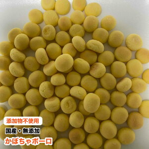 y100gz@ybgp@Y Y {[yڂz@J{`{[@Sfށ@{[@EFEۑEcܕsgp@[֑yDBPz