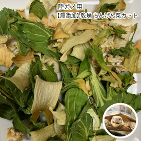 楽天市場 カメの野菜の通販