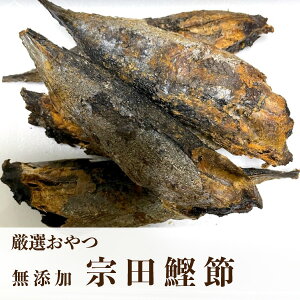 鰹節 無添加 ドッグフードの人気商品 通販 価格比較 価格 Com