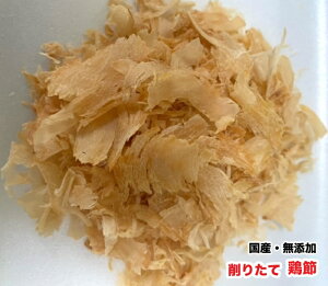 y30gz@EL@肨@VR@YEY@肽ā@@{ݐ߁@{߁@{TT~߁@yDBPz