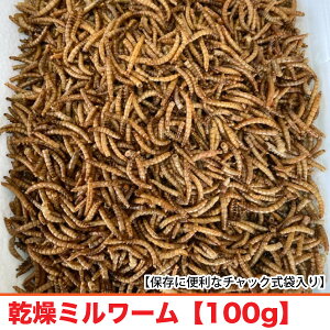 ~[@y100gz@~[@nD̍ςt[h@nX^[ tNK nlY~ X ঒ Ϗ܋ Ai@쒹@[֑yDBPz