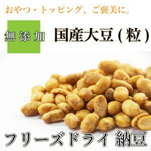   p [ t[YhC p 500g  DOG Y哤 ȂƂ Y [ z |XgyDBPz
