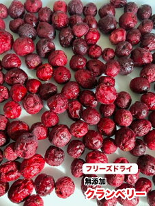  L ybg@N@t[YhC@Y@Nx[y100gz@r^~@H@ہ@AgVAj@|tFm[@ [֑yDBPz