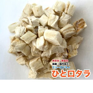 @L@tNK@@Y t[YhC@^y50gzЂƌyYEHz@L@@[֑yDBPz