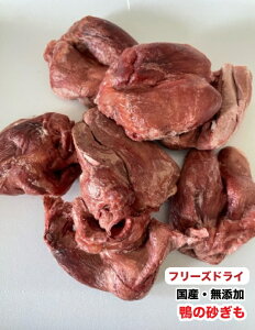 p y500gzY@t[YhC@Y@̍́@@J@yDBPz