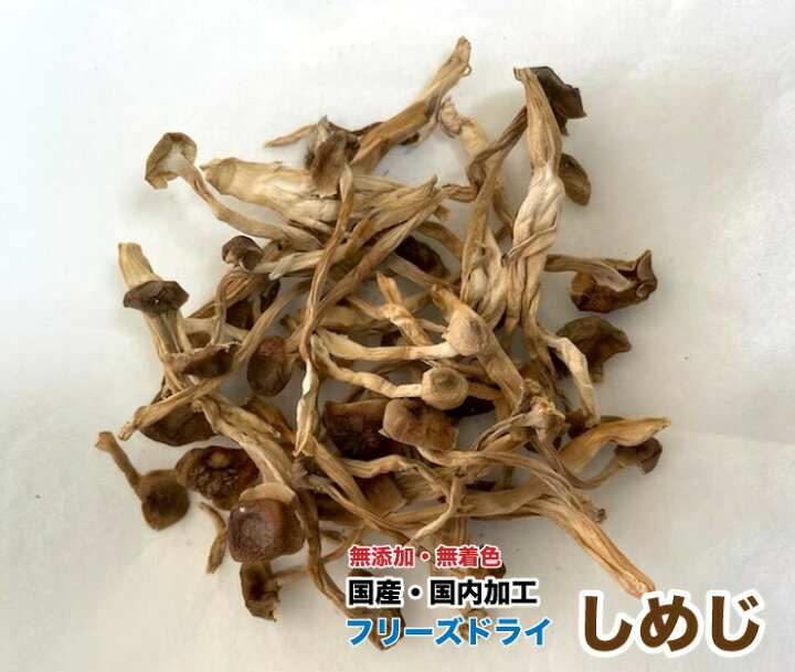 楽天市場 犬 おやつ 無添加 フリーズドライ しめじ g 国産 国内加工 シメジ しめじ フリーズドライ おやつ Dbp ウォッチ