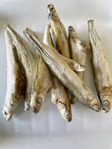 y200gz@L@@t[YhC@VR킩@JTM@Lp@@yDBPz