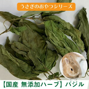 ドライ バジルの人気商品 通販 価格比較 価格 Com ドライ バジルの人気商品 通販 価格比較 価格 Com